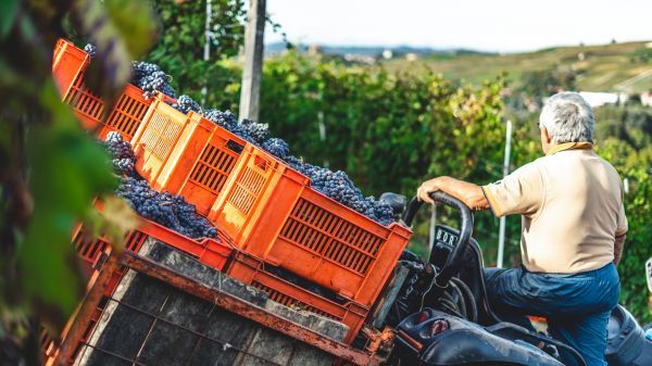 Φωτογραφία από Discover Aretousa Wines
